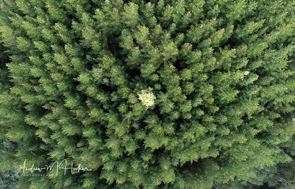 Aerial